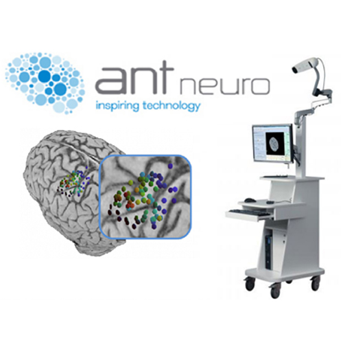 antneuro